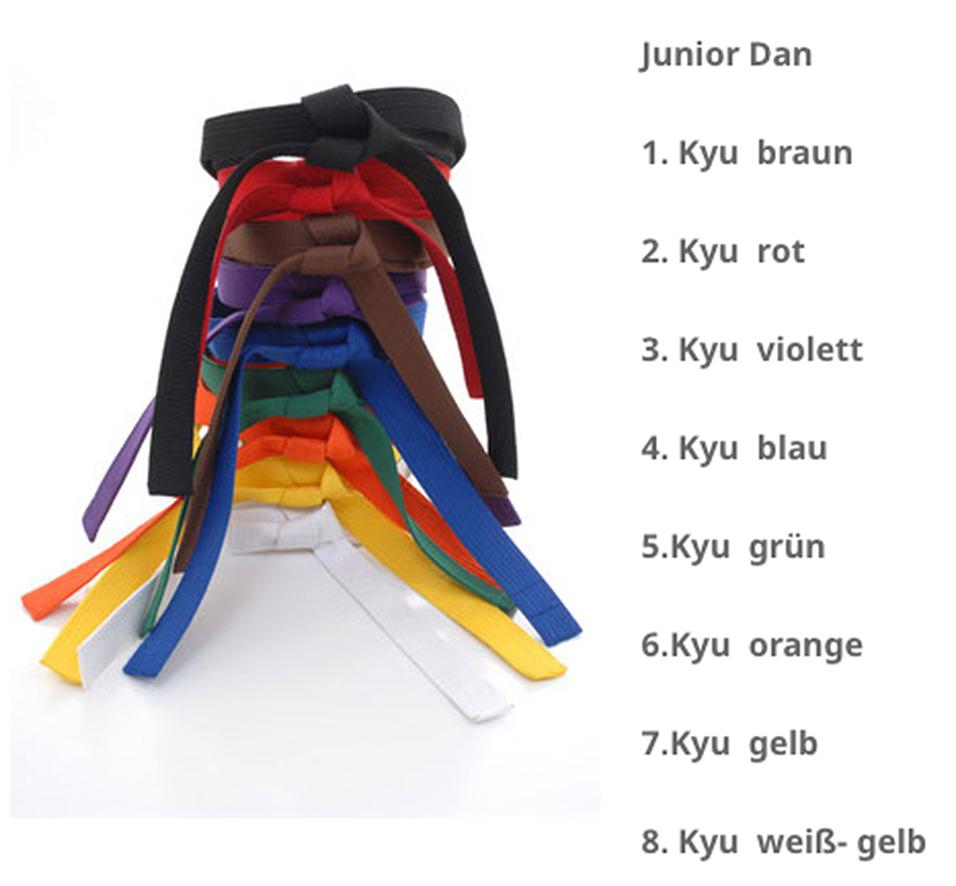 Karate, Shotokan Karate