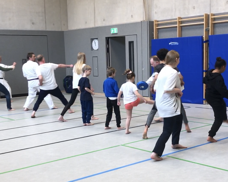 Karate, Shotokan Karate